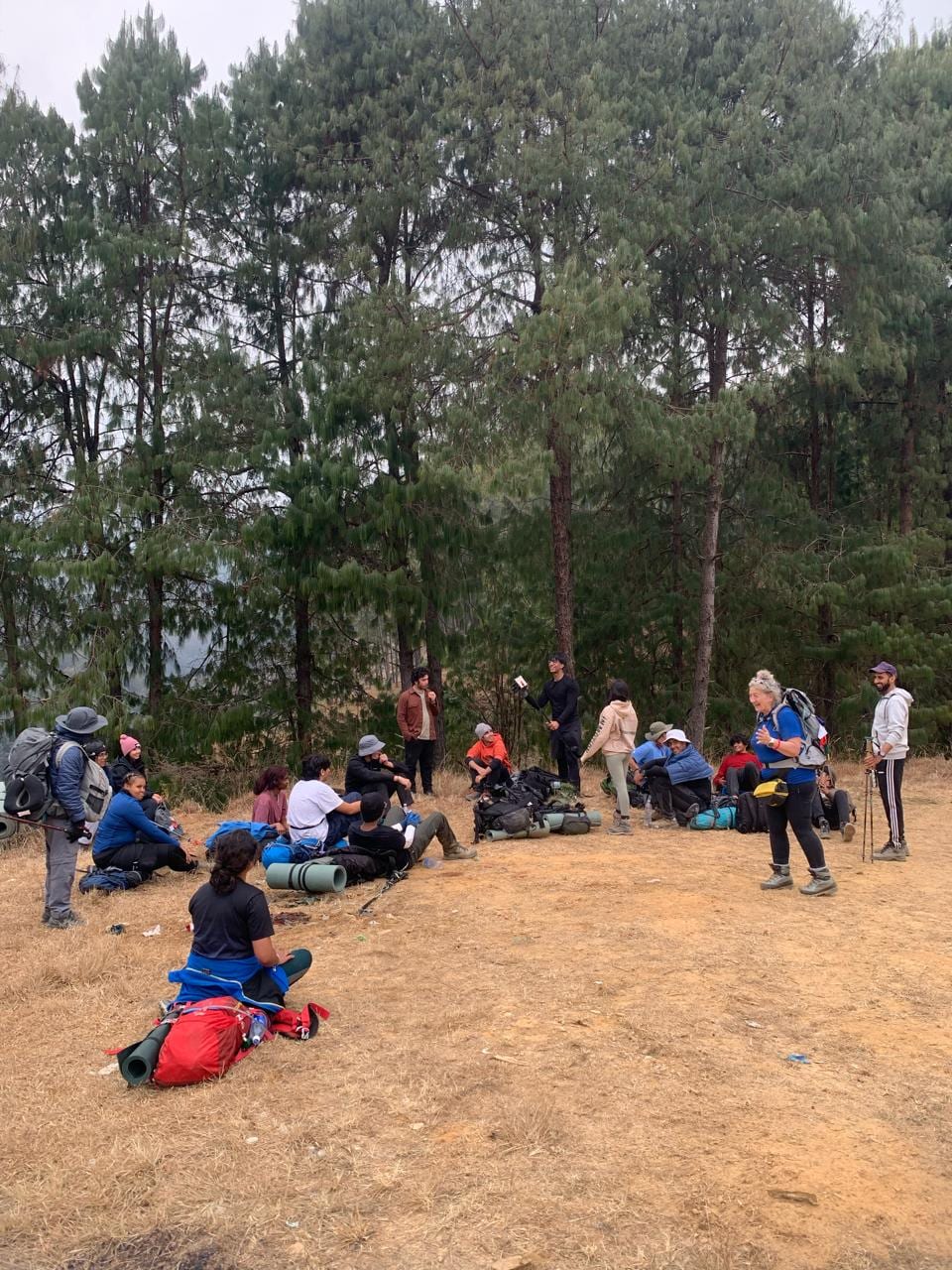 An expedition group resting with their packs in a clearing of pine forest on the way to Dhulikhel