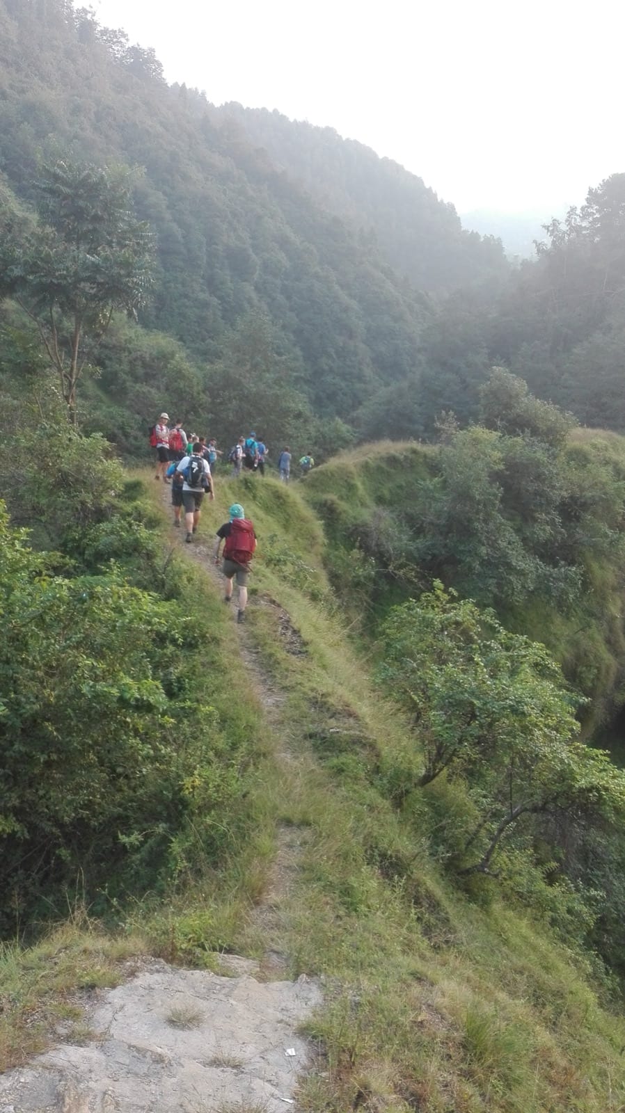 A line of walkers with backpacks following a narrow grassy ridge path through green forested hills