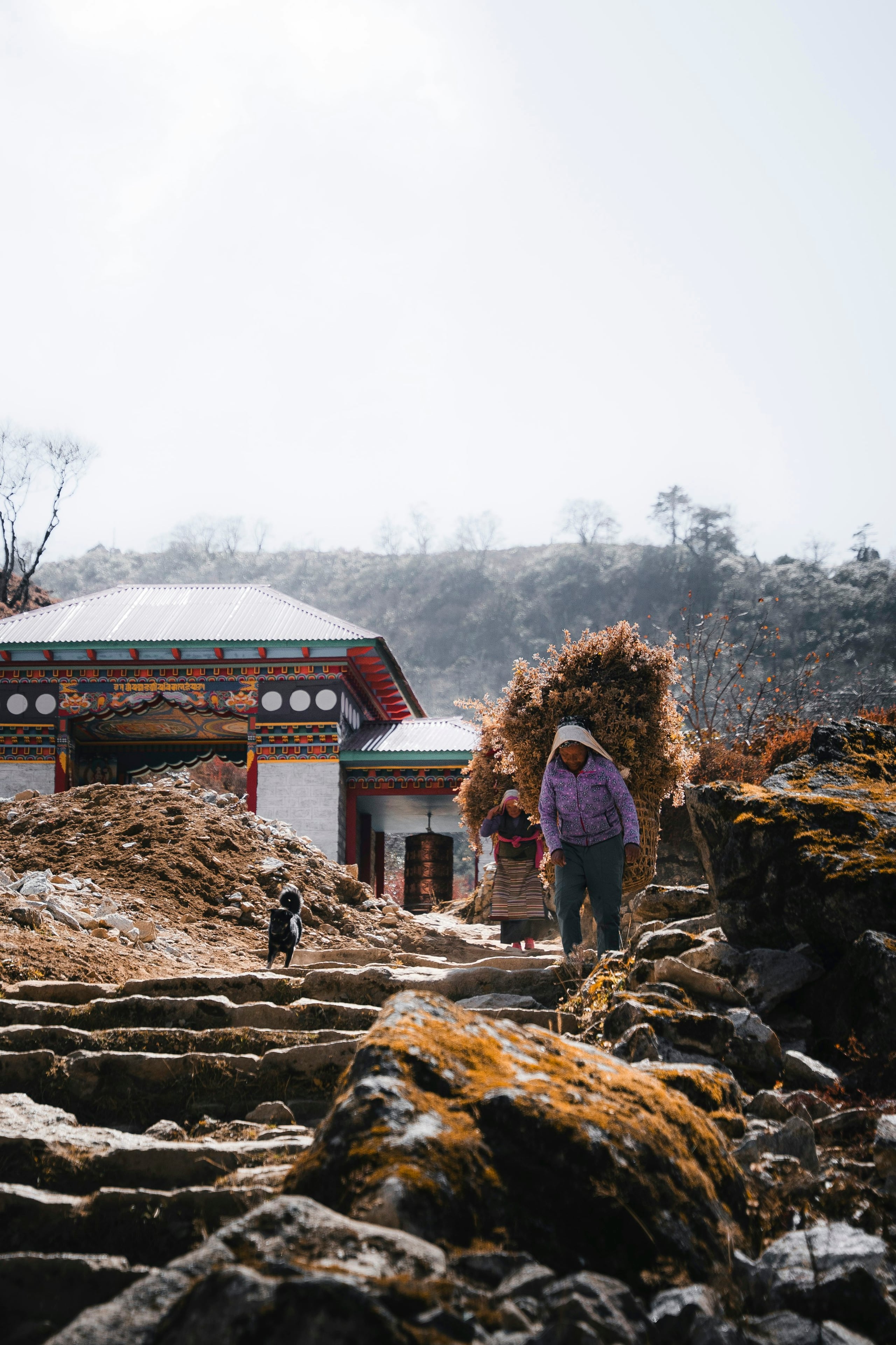 Two villagers carrying bundles of foliage up stone steps past a painted monastery gate