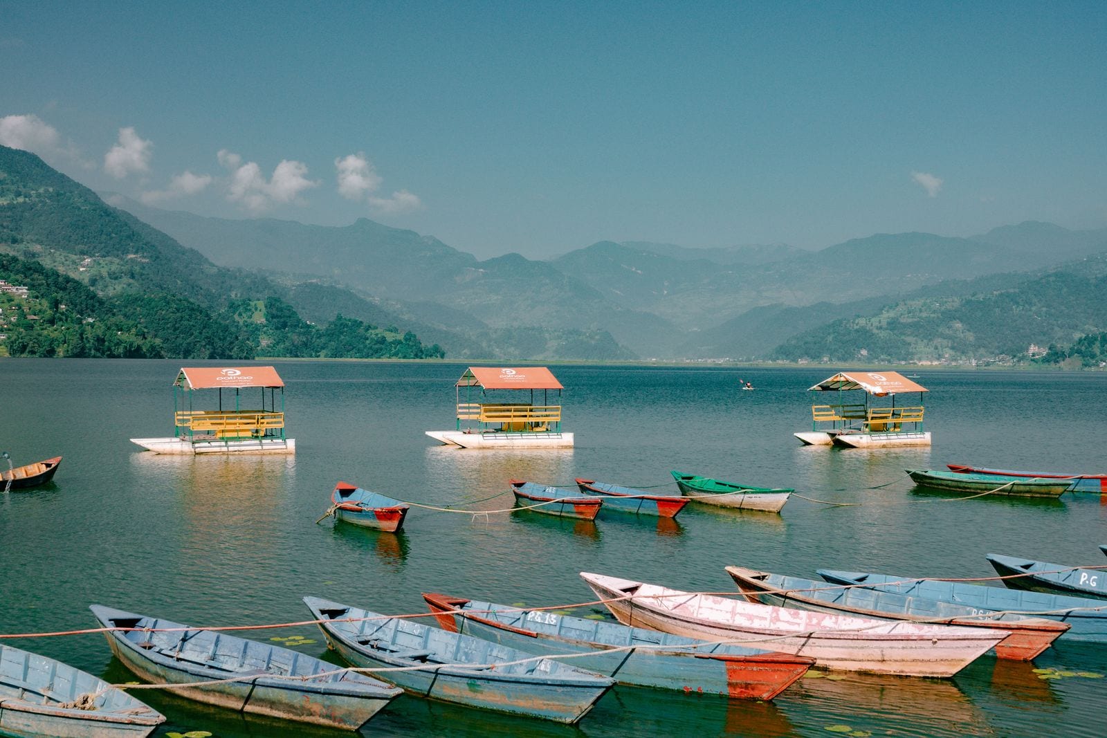 Painted wooden rowing boats moored on Phewa Lake in Pokhara