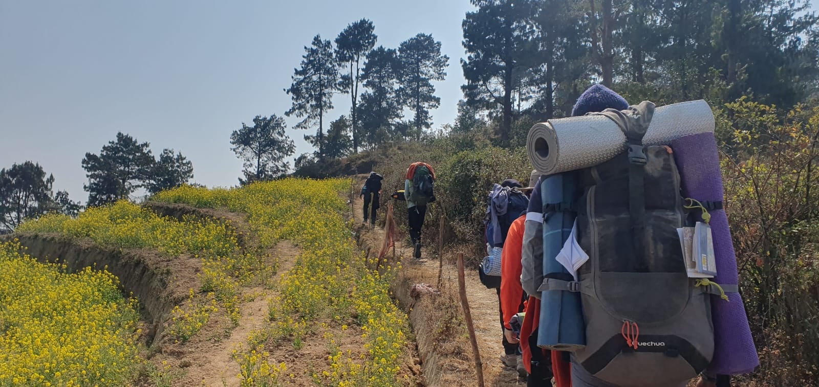 Students carrying expedition backpacks and roll mats along a path beside yellow mustard fields and pine trees
