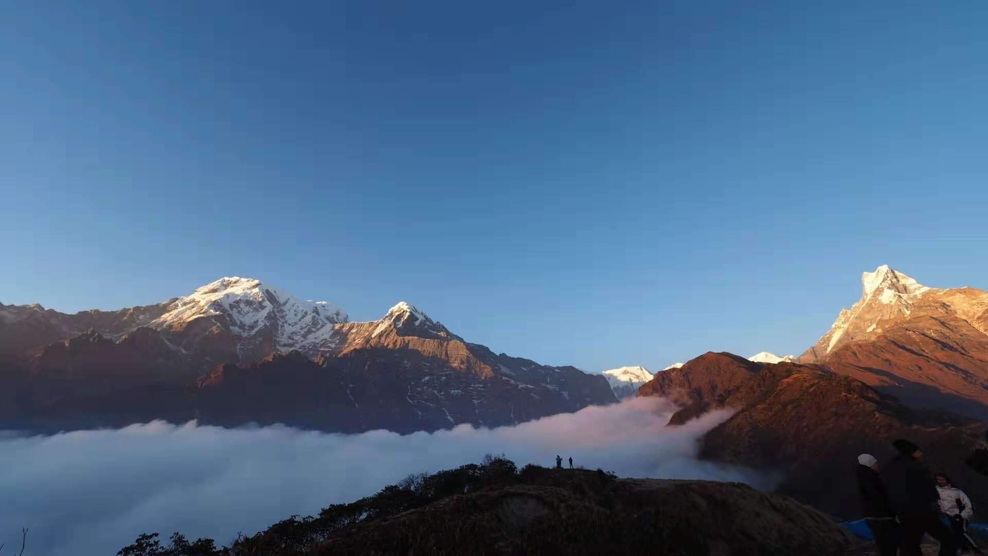 Annapurna South and Hiunchuli on the left and Machhapuchhre on the right, lit at dawn above a sea of cloud, with trekkers on the ridge